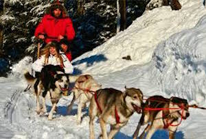 Dog Sledding & Snowmobiling