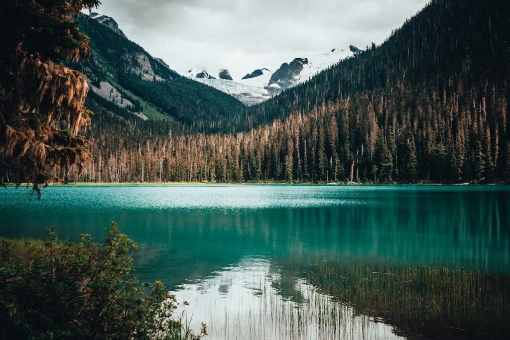 View of Joffre Lakes Trail