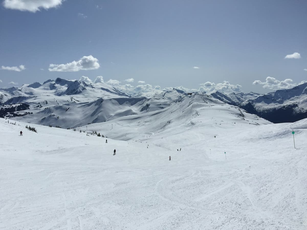 people skiing on snow covered Whistler mountain on a sunny day with blue skies
