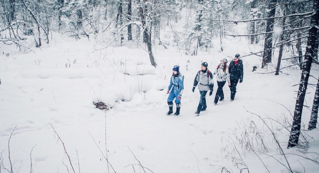 Group snowshoeing through the winter forest in Whistler, enjoying the snowy landscape and outdoor adventure.