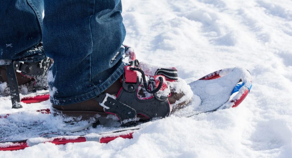 A closeup of a red and black snowshoe on a person walking in powdery snow in Whistler.