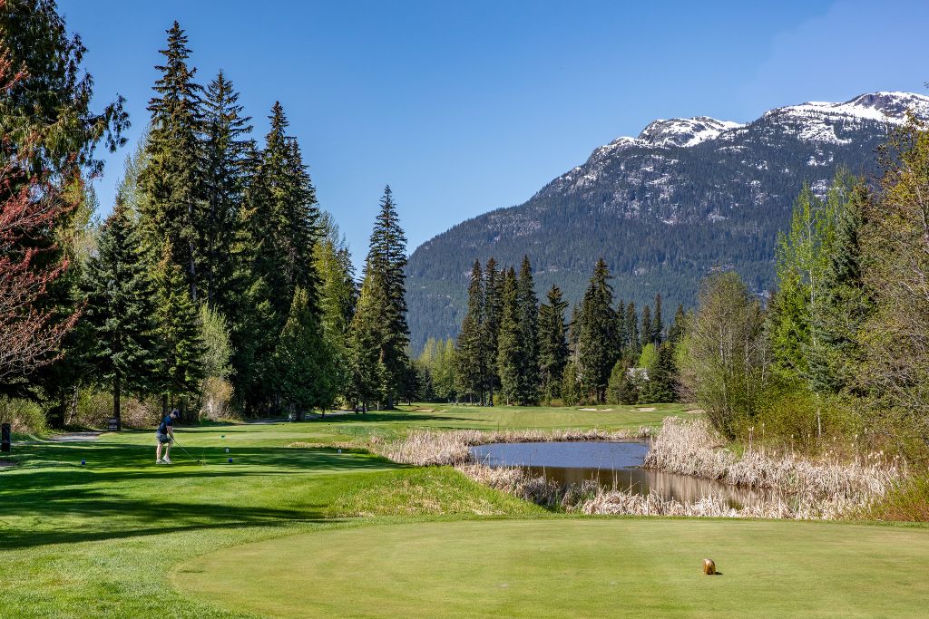 Golfer teeing off at Nicklaus North Golf Course in Whistler against a backdrop of mountains.