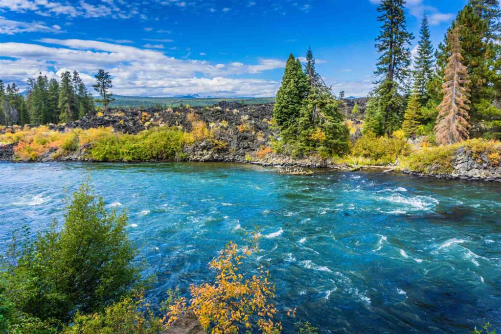 Nature Trail Bend Oregon