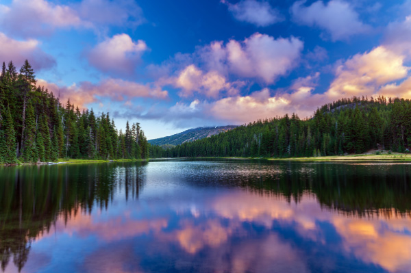 Mt. Bachelor Reflecting in Todd Lake Bend, oregon