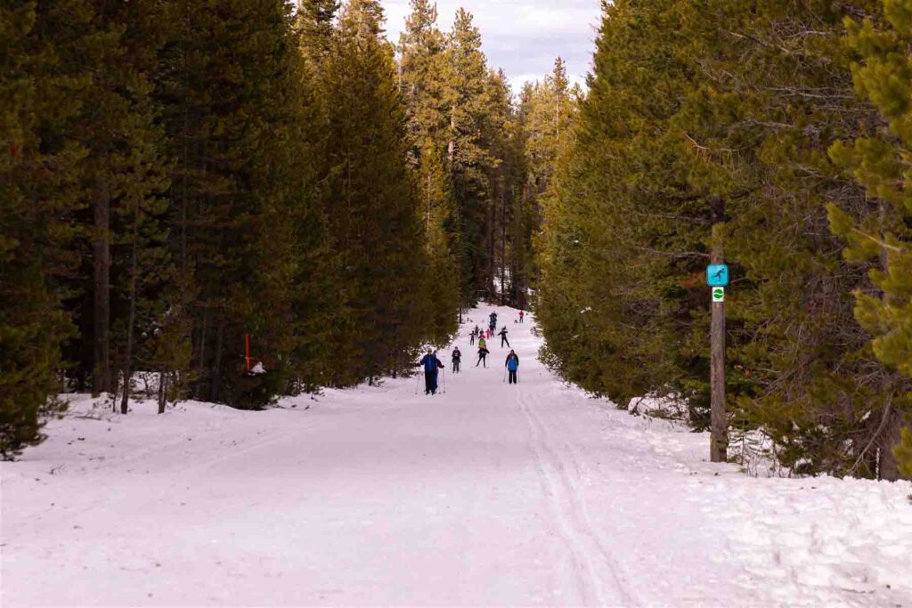 Dutchman Flat Sno-Park Trail in the Trees