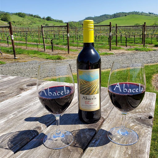 Abacela Wine in the vineyard - Bend Oregon wine welcome gift