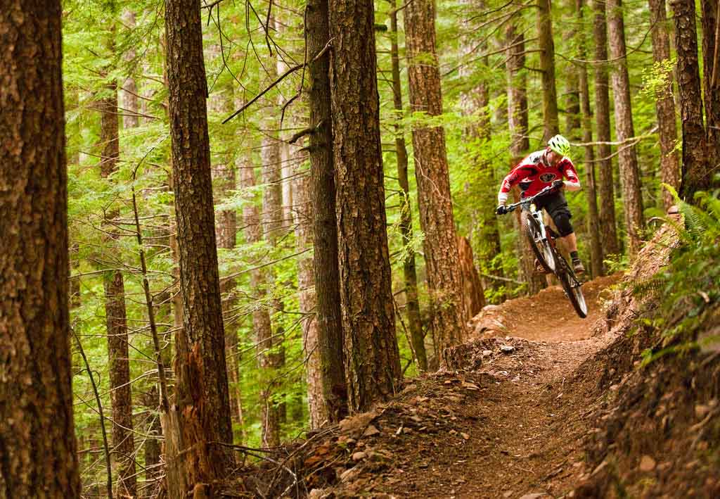 mountain biking trail in central Oregon