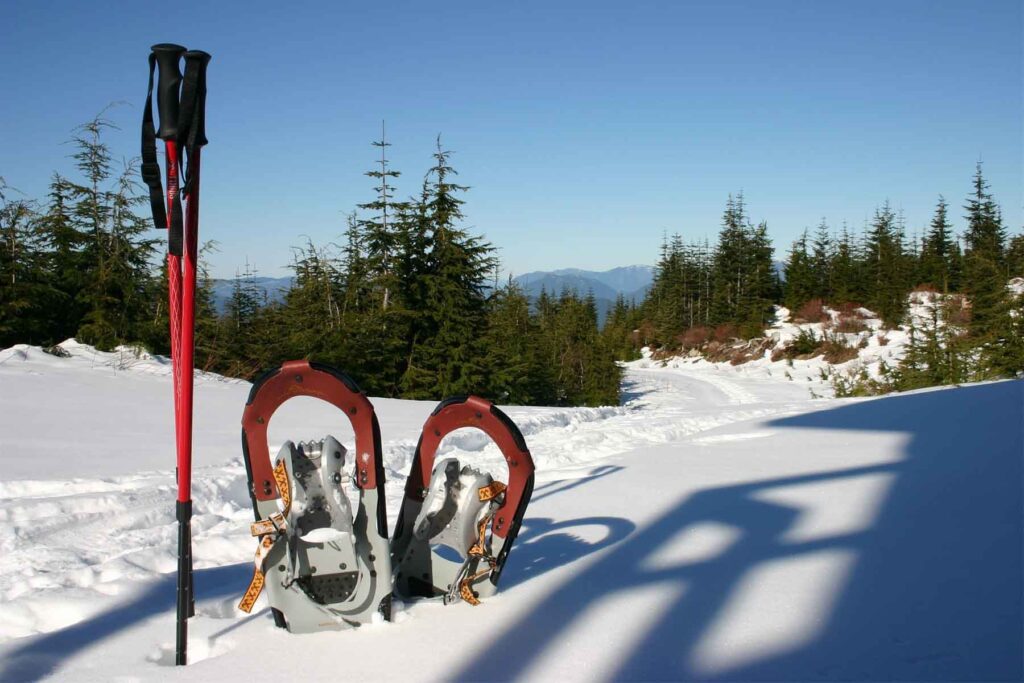 Snowshoes and poles in the snow