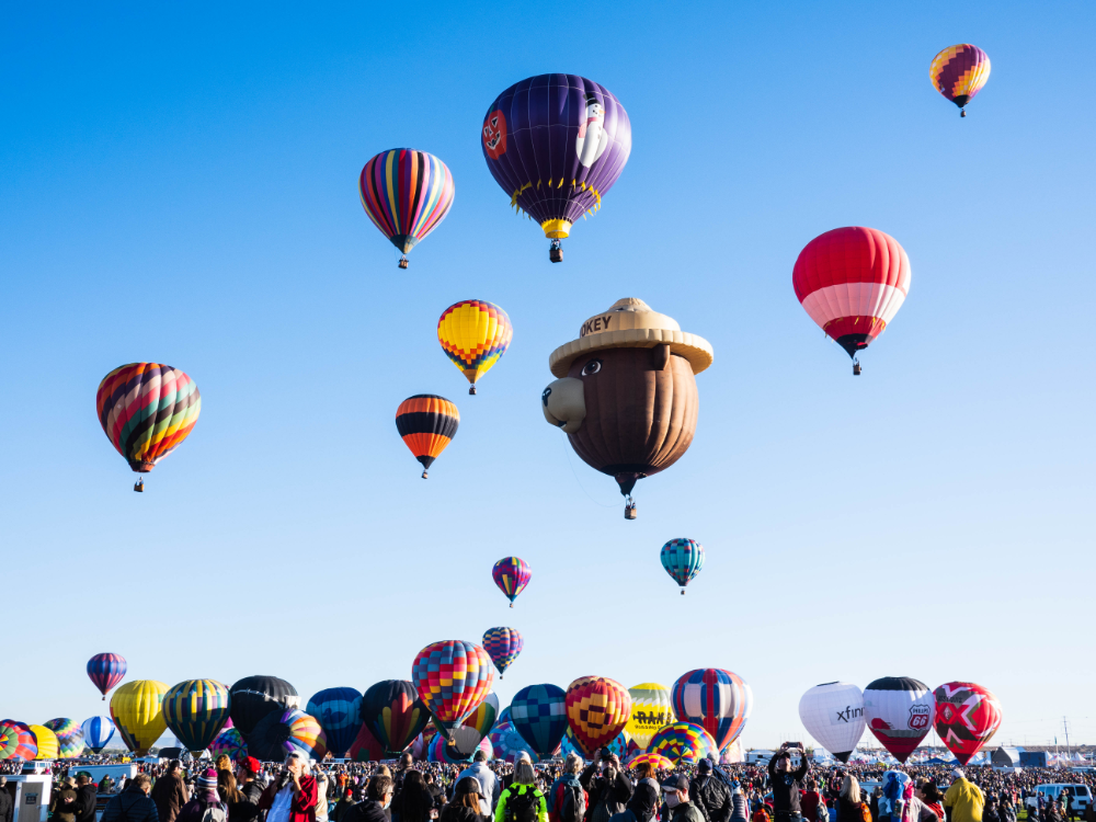 Hot Air Balloons in the Sky