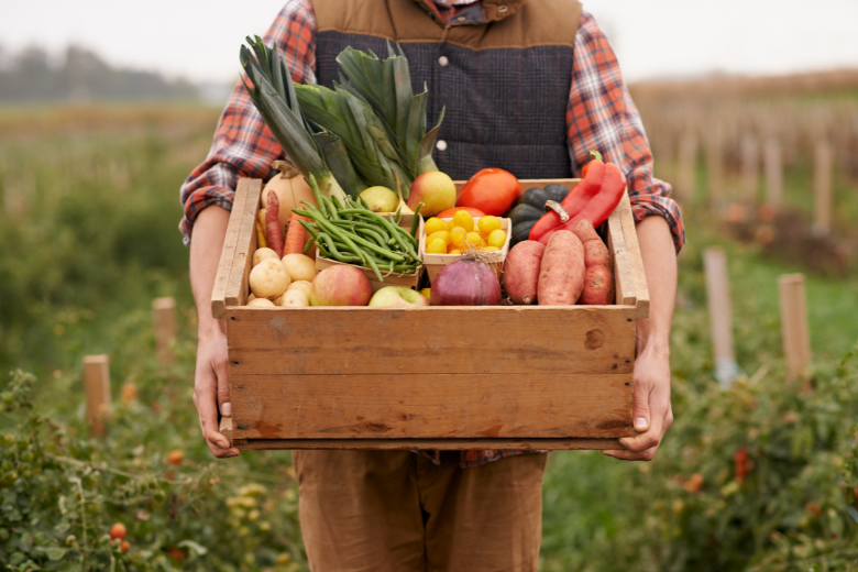 Person Holding Various Vegetables in a Box in a Field