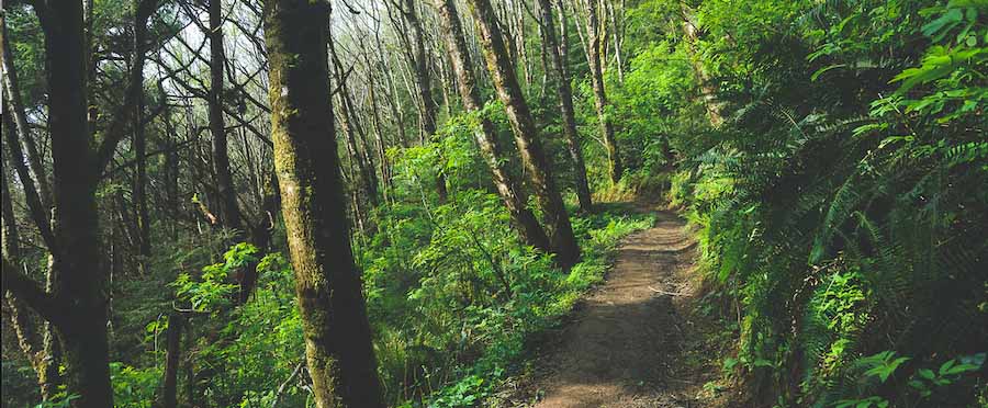 Oregon coast hikes and trails
