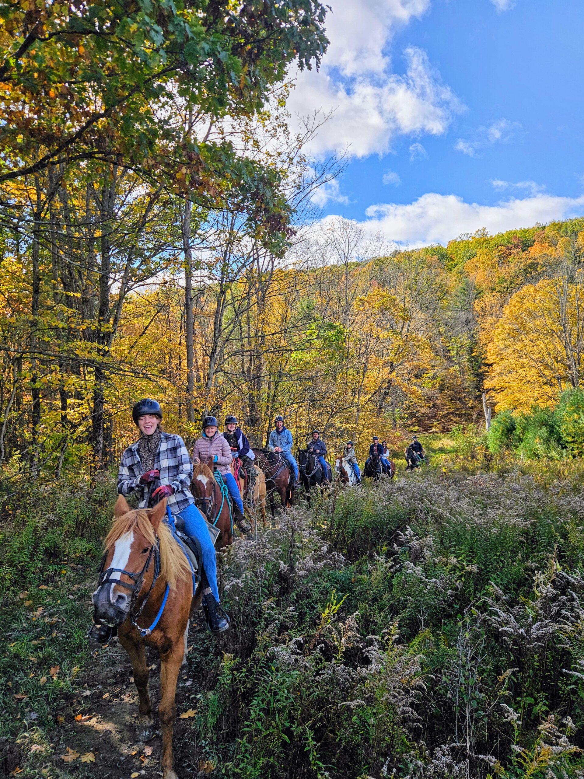 horse riding at Mountain Rose Farm