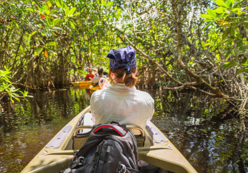 kayaking tour in Florida mangroves