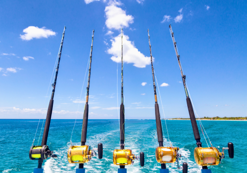 deep sea fishing