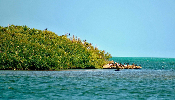 Crane Point Hammock