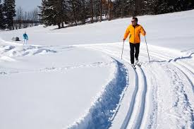 Nordic Skiing