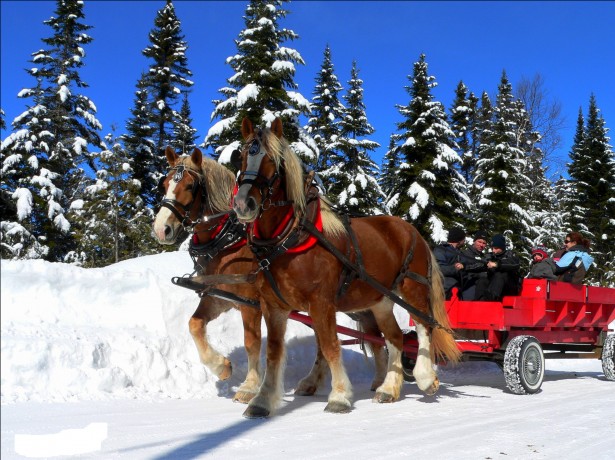 Scenic Sleigh Rides