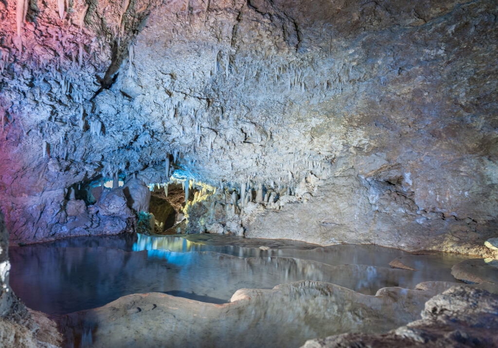 image of Tram Adventure in Harrison’s Cave