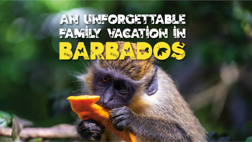 Barbados Family Vacation Hero Image