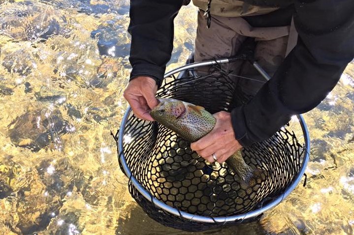 Crested Butte Angler