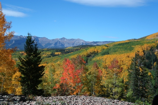 Summer & Fall Activities