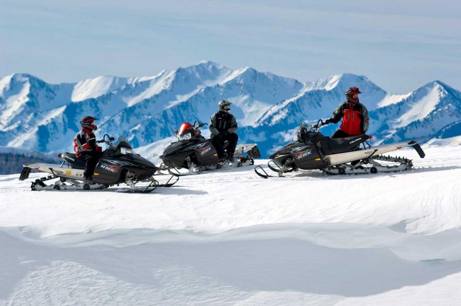 Action Adventures Snowmobiling