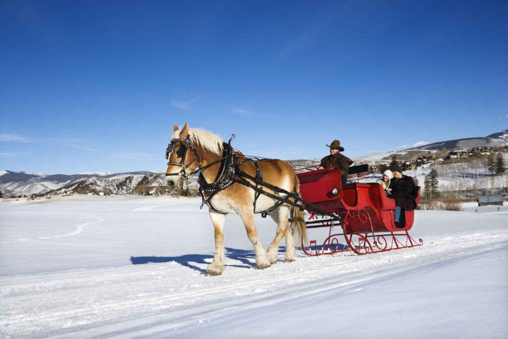 winter horseback rides and sleigh rides