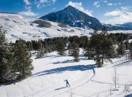 Winter & Spring Activities