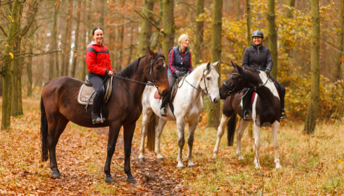 group horseback riding 