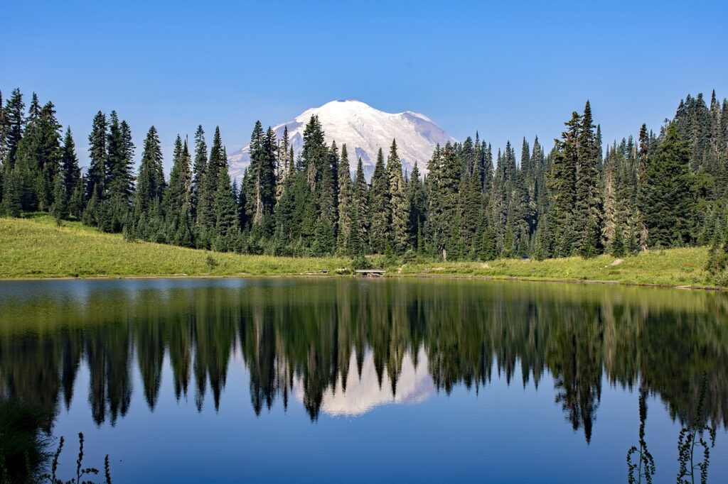 lake, trees, forest-6571820.jpg