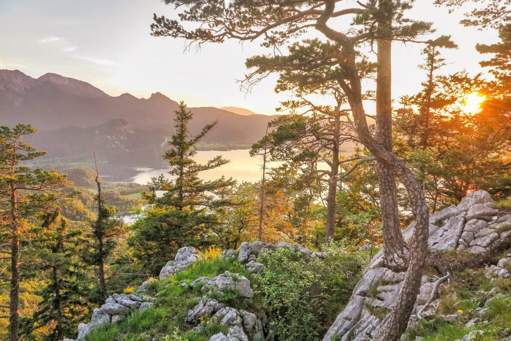 trees, nature, mountains, landscape, mountain landscape, view, hiking, landscape, view, hiking, hiking, hiking, hiking, hiking-4896953.jpg, Seattle