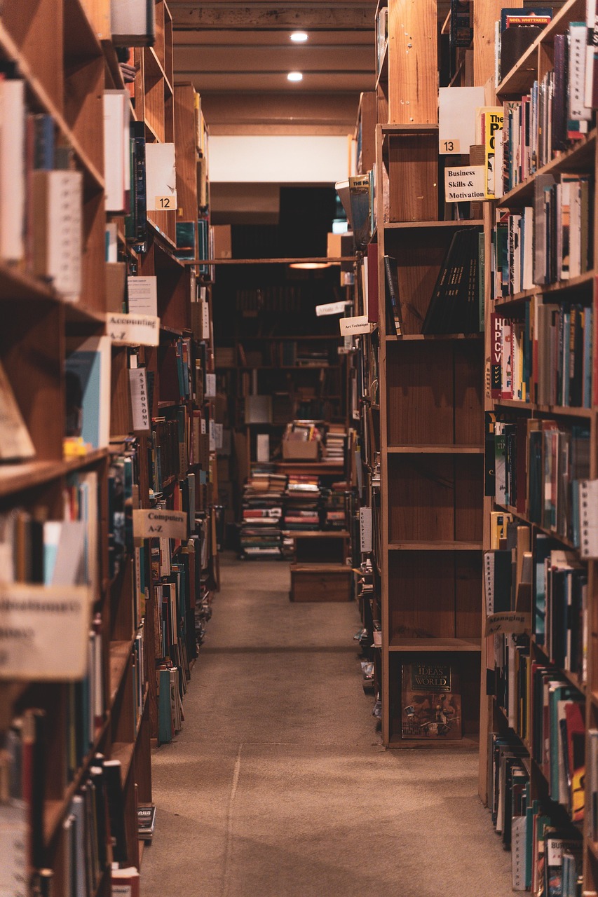 books, library, story, literature, novel, reading, read, study, knowledge, bookstore-8934573.jpg