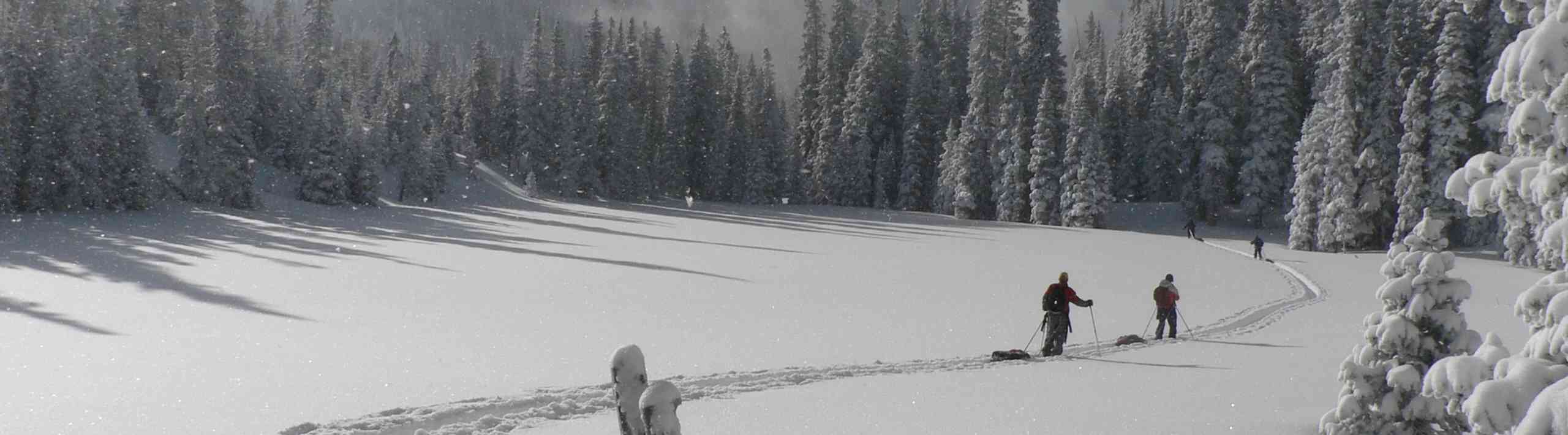 Why Blooming? Blooming Rentals