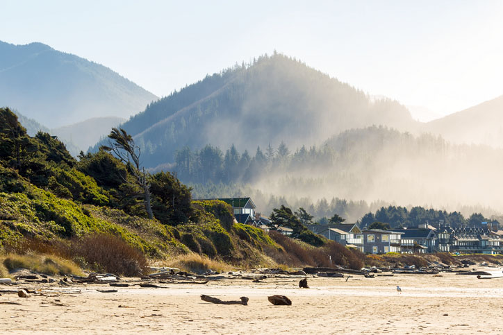 cannon beach view