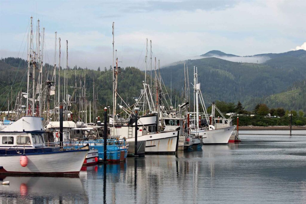 Fishing boats