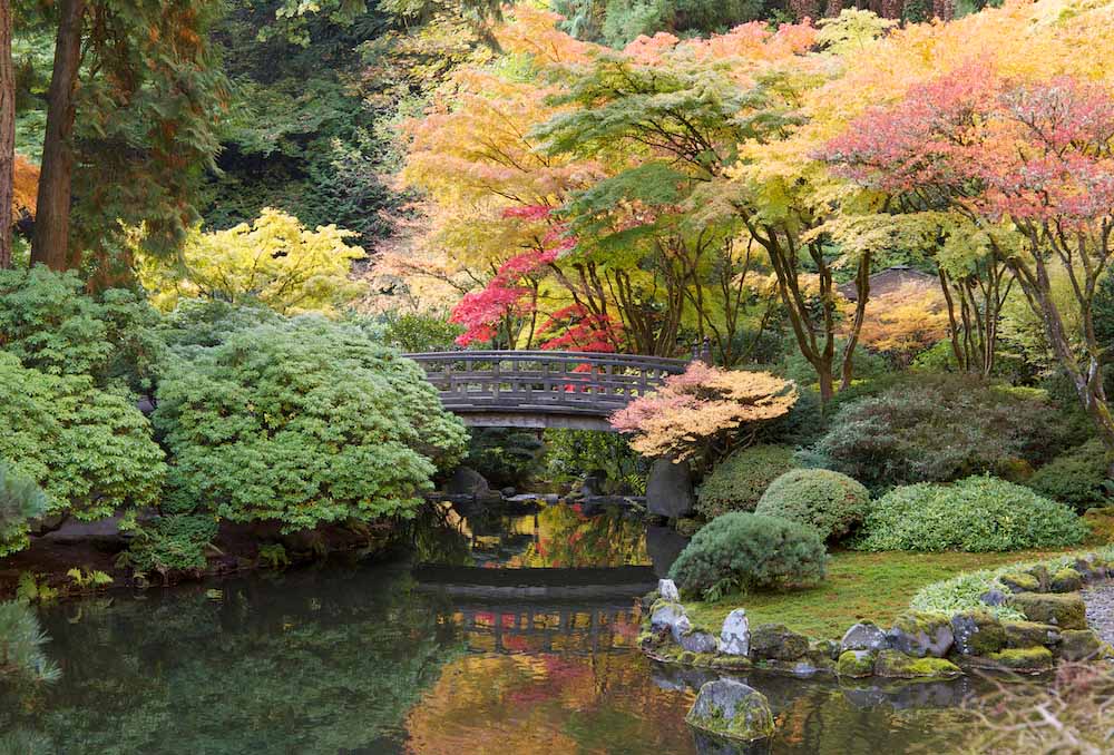 Japanese garden