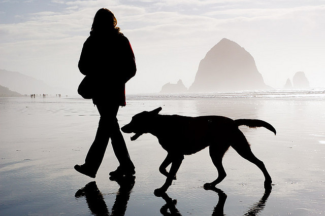 Pet Friendly Cannon Beach