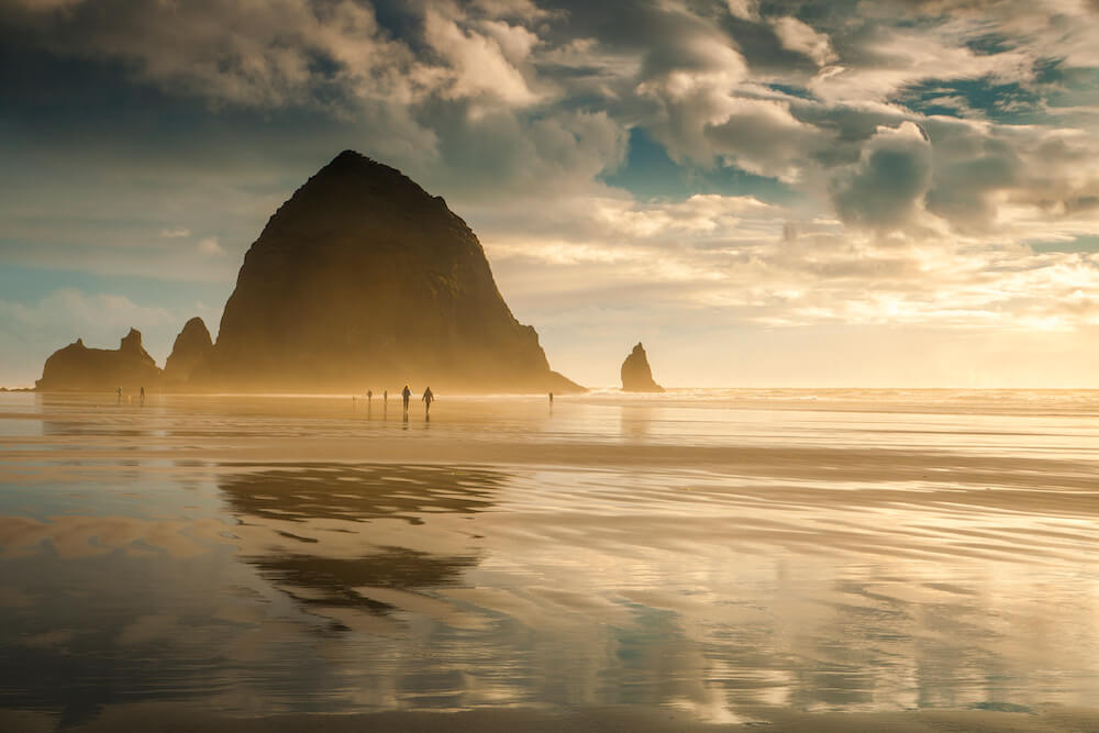 Haystack Rock Awareness Beach Program