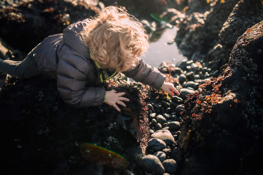 Kid searching tide pool after tide goes out on Oregon beach