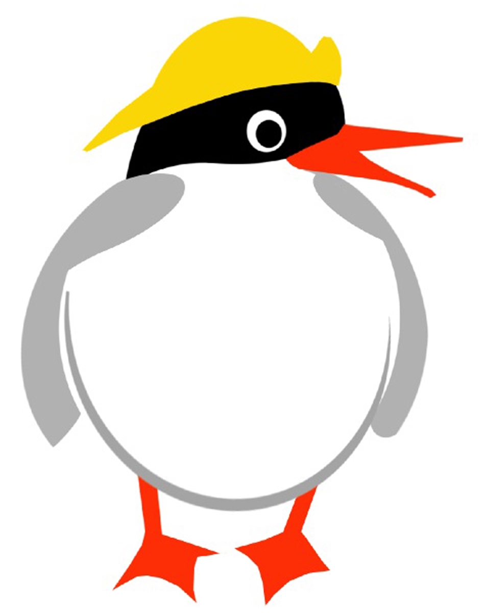  "QUINN" The Arctic Tern  To  raise awareness of Maine's seabirds