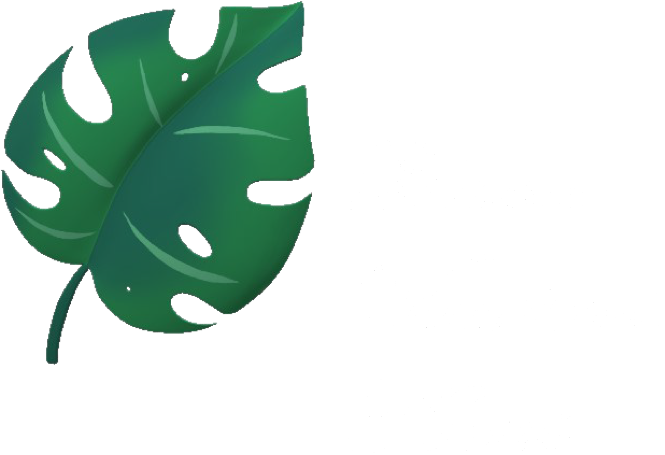 Dreams vacation kauai