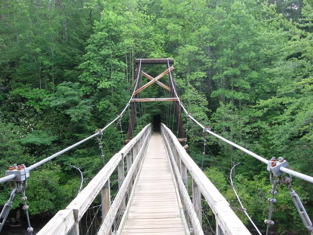 Picture of swinging bridge leading to a hiking trail in Blue Ridge.  One of the most popular activities in the north Georgia area