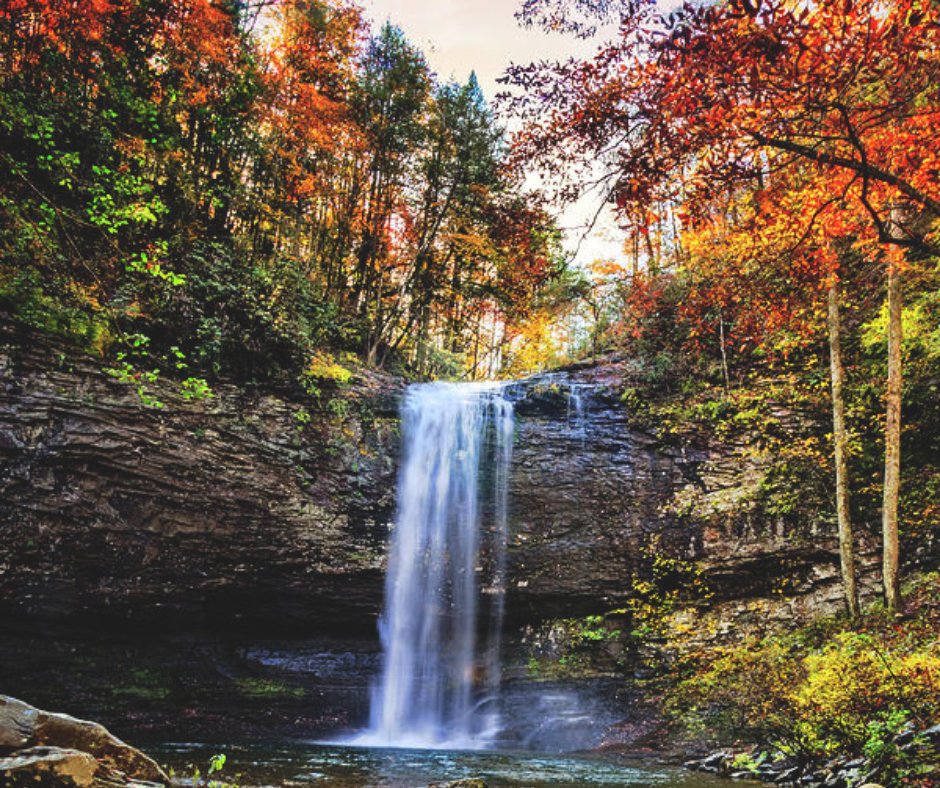 Waterfalls in a orange nature