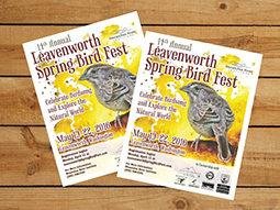 Leavenworth Spring Bird Festival, May 16-19, 2024