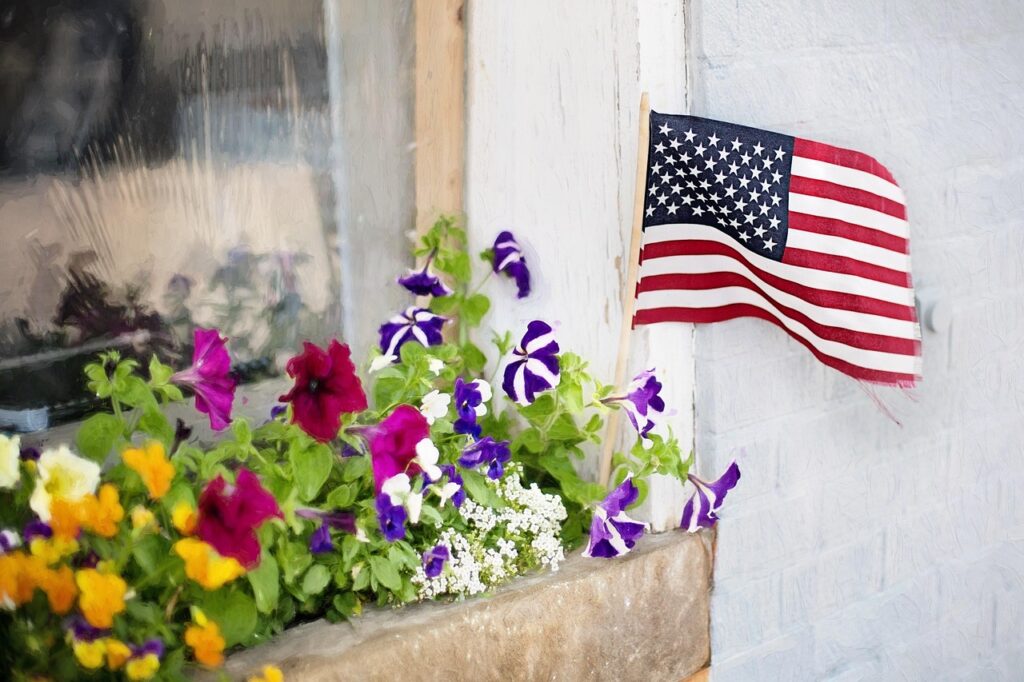 american flag, fourth of july, flowers, beautiful flowers, flower box, flower wallpaper, window, patriotism, american, nature, flower background, holiday-825635.jpg