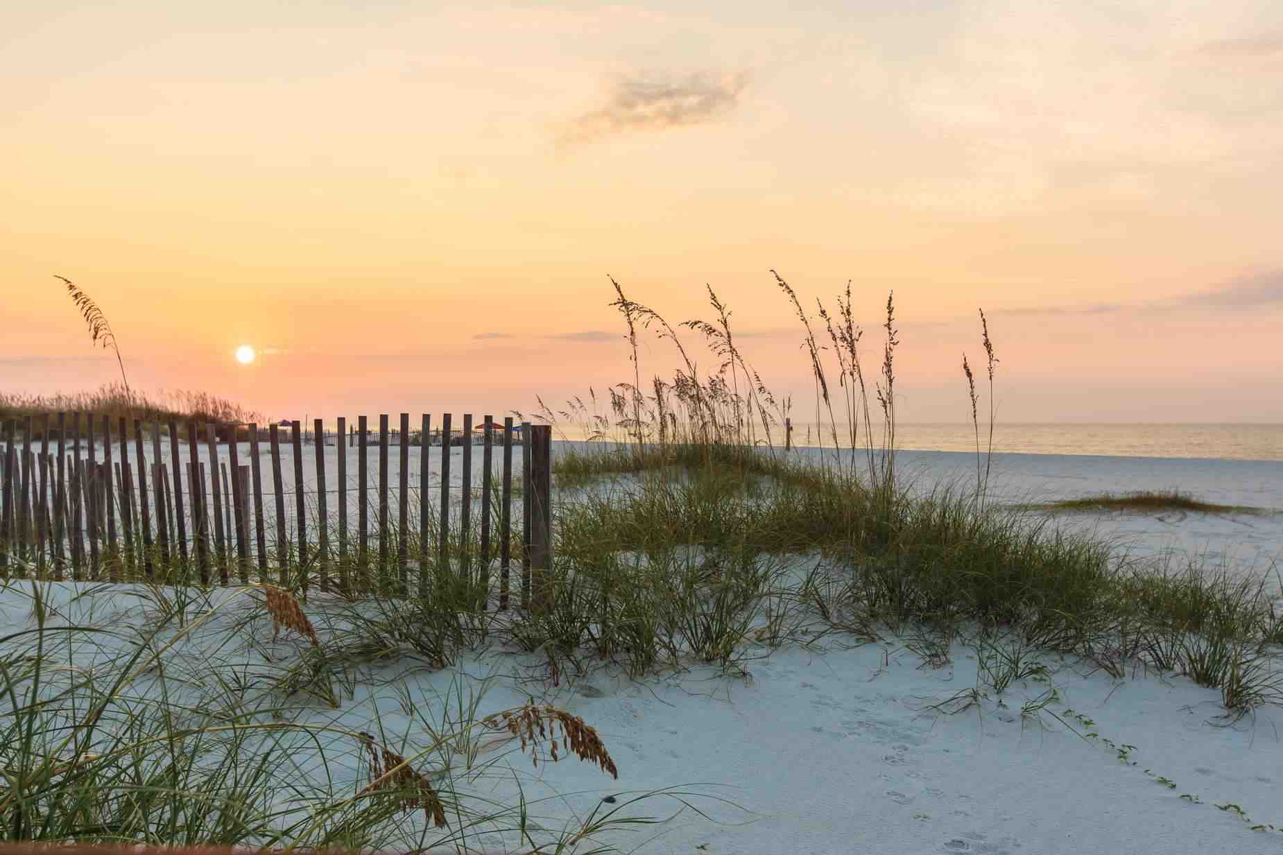 the beach in orange beach, alabama