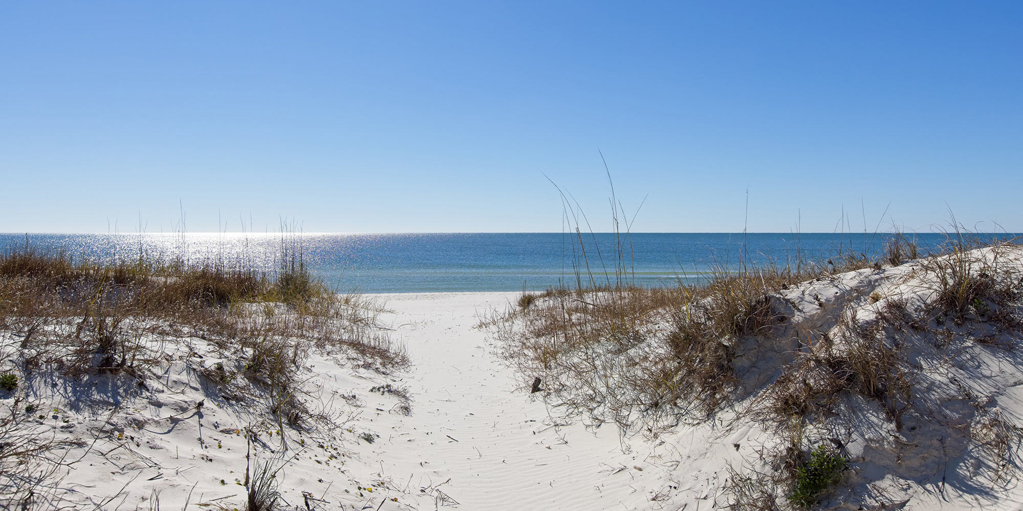 gulf shores beach