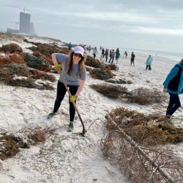 dune restoration