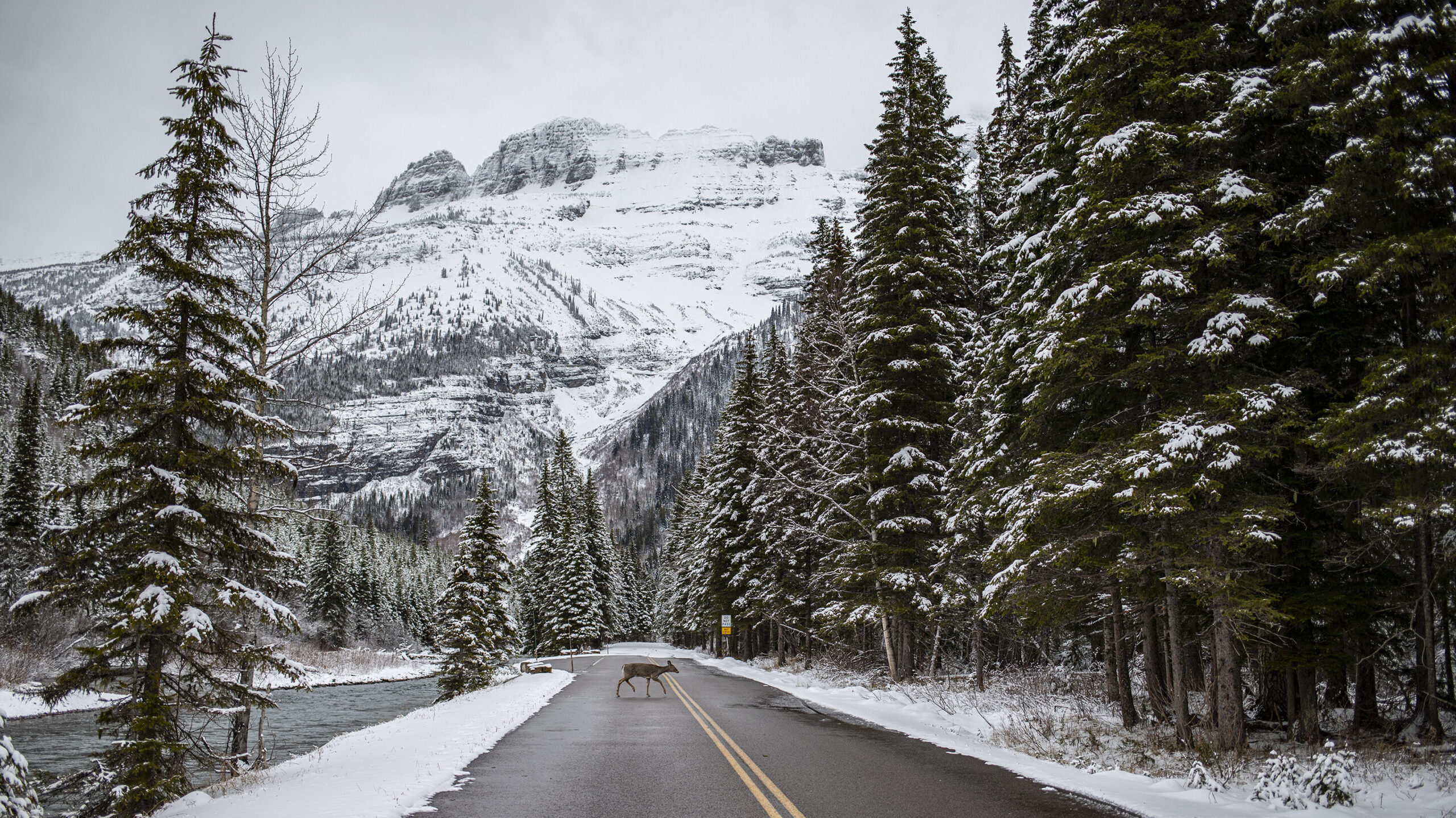 Glacier National Park Day Trips