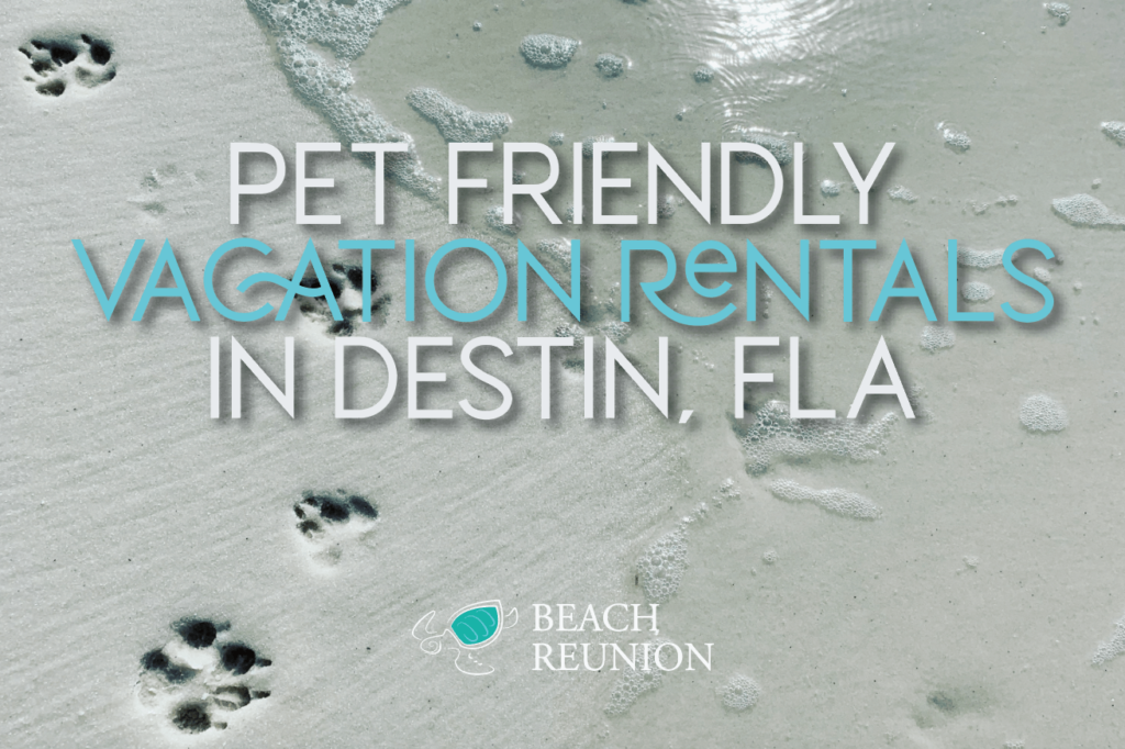 Top 5 Pet-Friendly Vacation Rentals in Destin